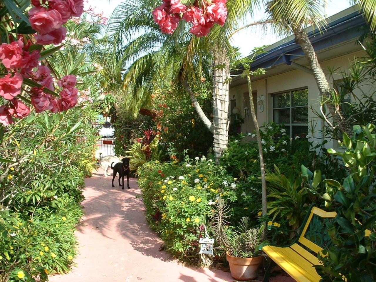 Affordable Beach Condos - One Bedroom Dlx Condos St. Pete Beach Luaran gambar