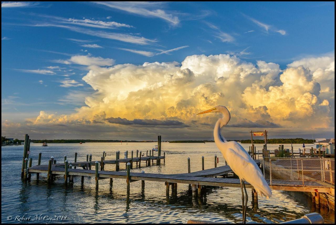 Affordable Beach Condos - One Bedroom Dlx Condos St. Pete Beach Luaran gambar